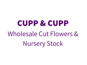 cupp and cupp logo