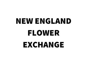 new england flower exchange logo